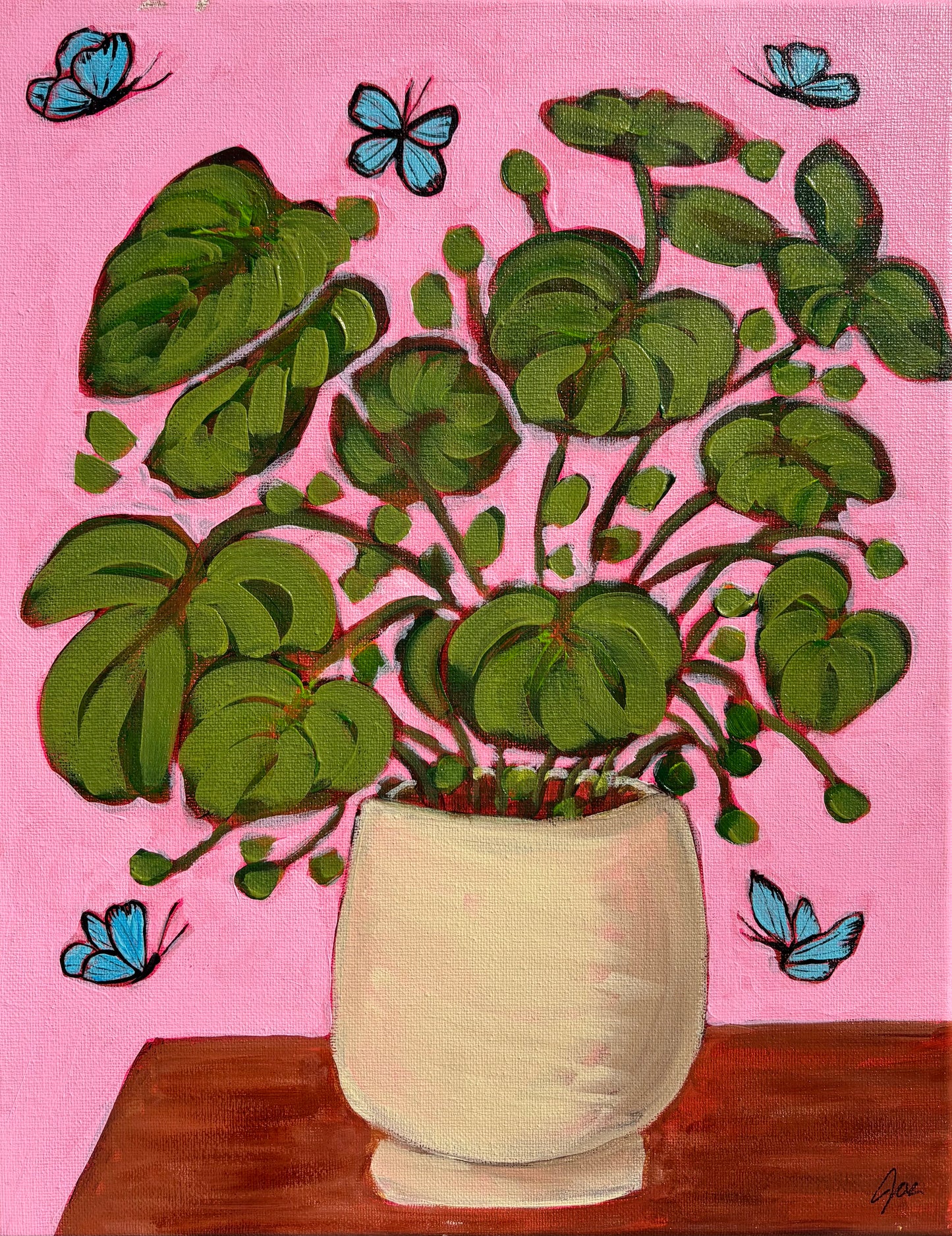 Lilly plant