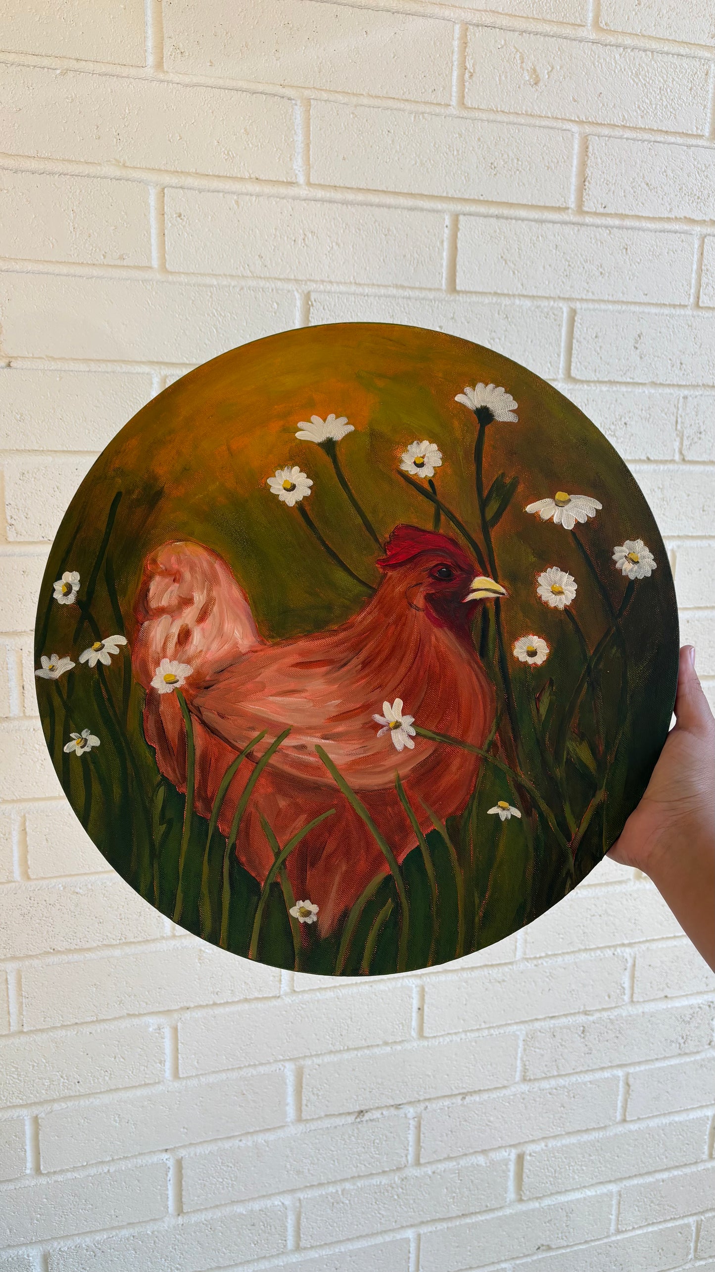 Daisy chicken
