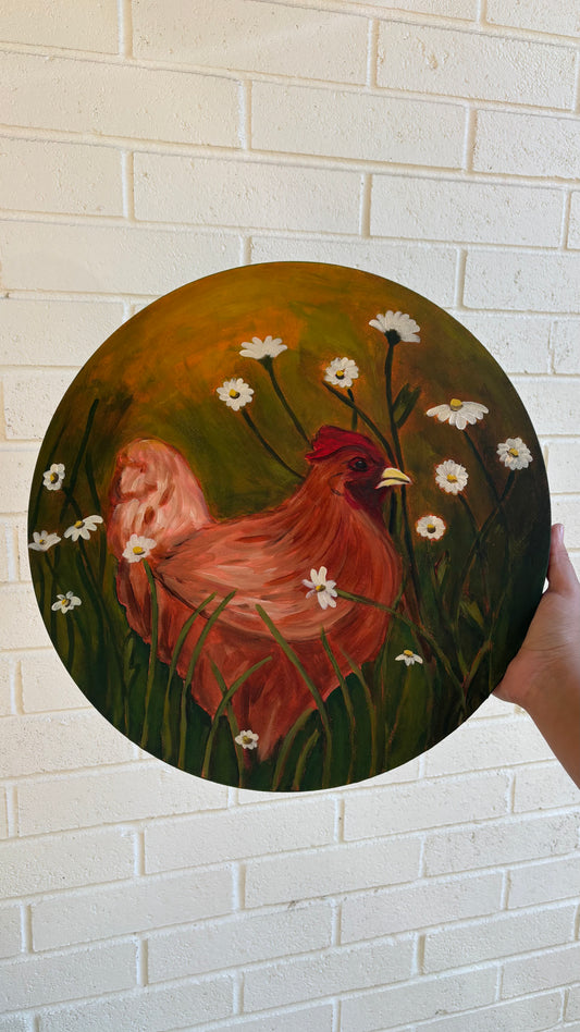 Daisy chicken